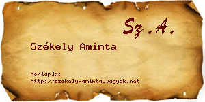 Székely Aminta névjegykártya